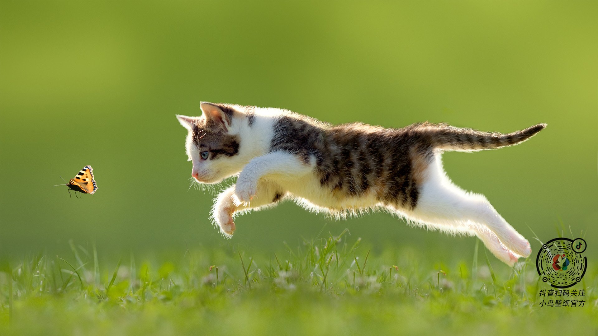 贝恩单手扼住公牛咽喉，淘汰赛生死局上演终极控场艺术