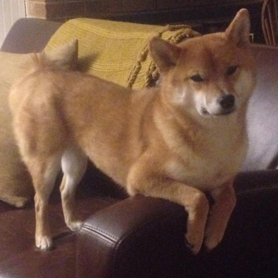 足球之夜的平行宇宙,姆巴佩冠军级帽子戏法,与雷恩补时绝杀的神迹共振