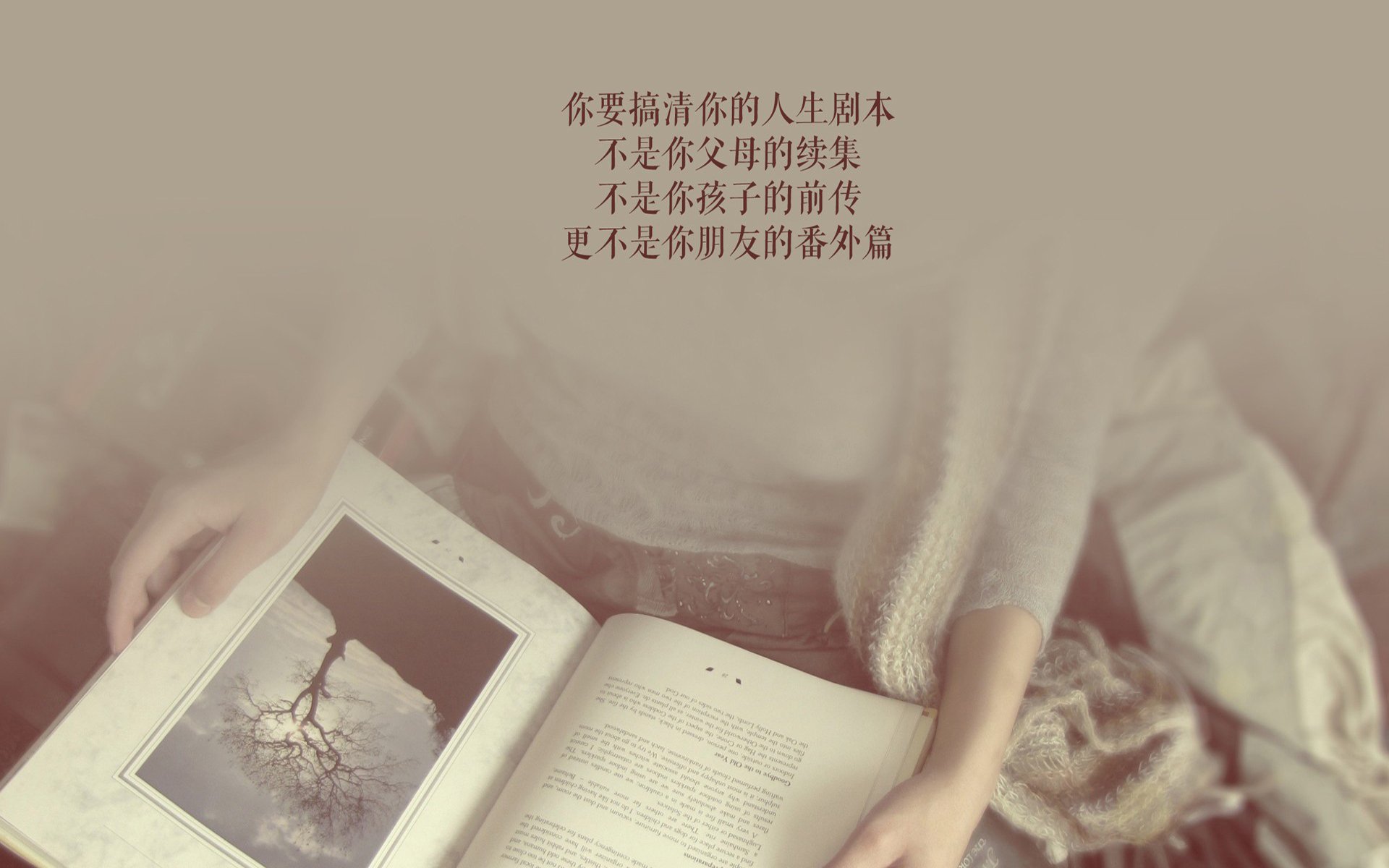 冰原上的钢铁狂潮，当挪威巨舰碾过瑞典海盗，福登在极光下加冕为王