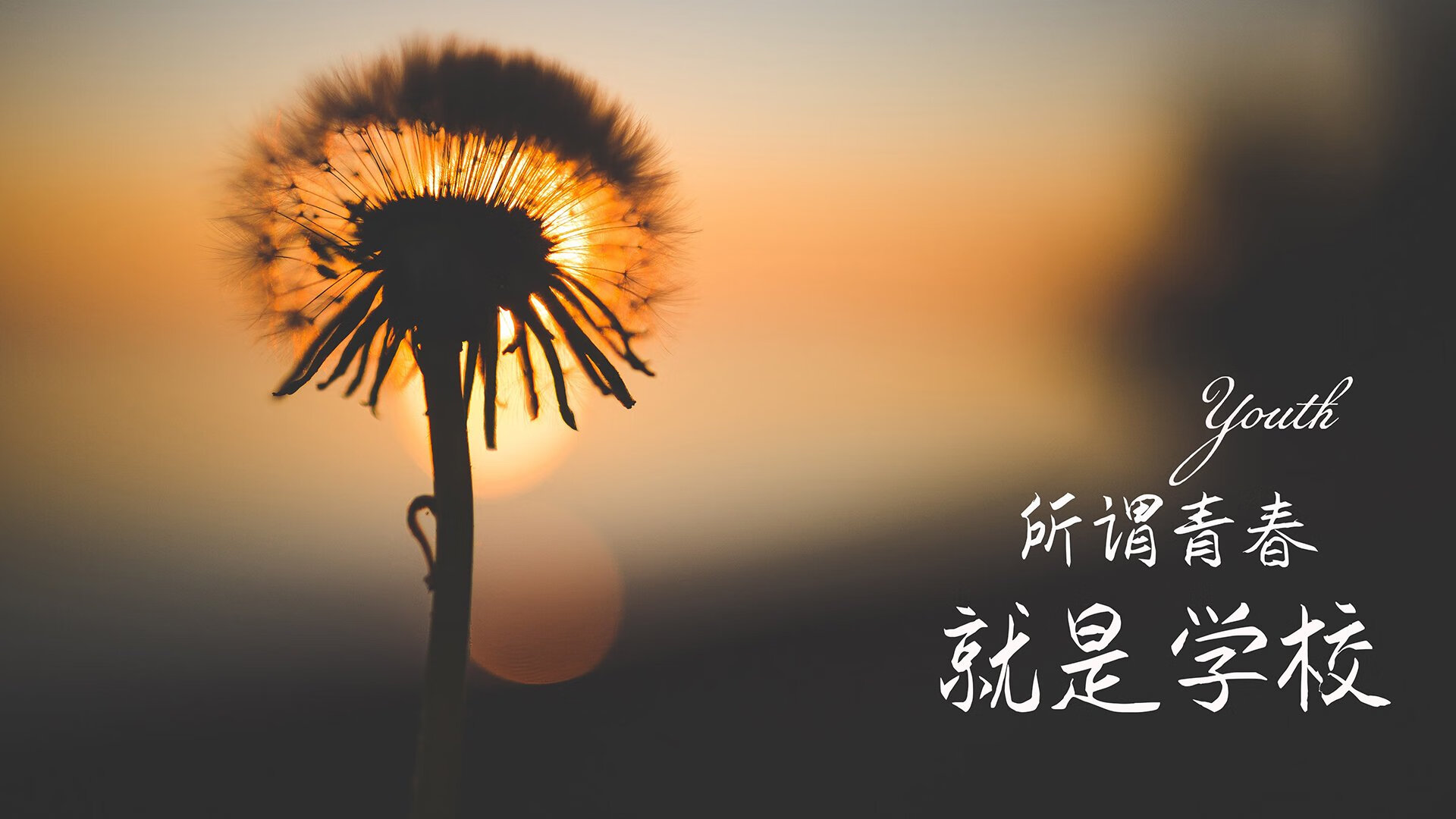 沙漠中的孤星,奥斯梅恩如何定义2026世界杯A组那场唯一的历史分水岭