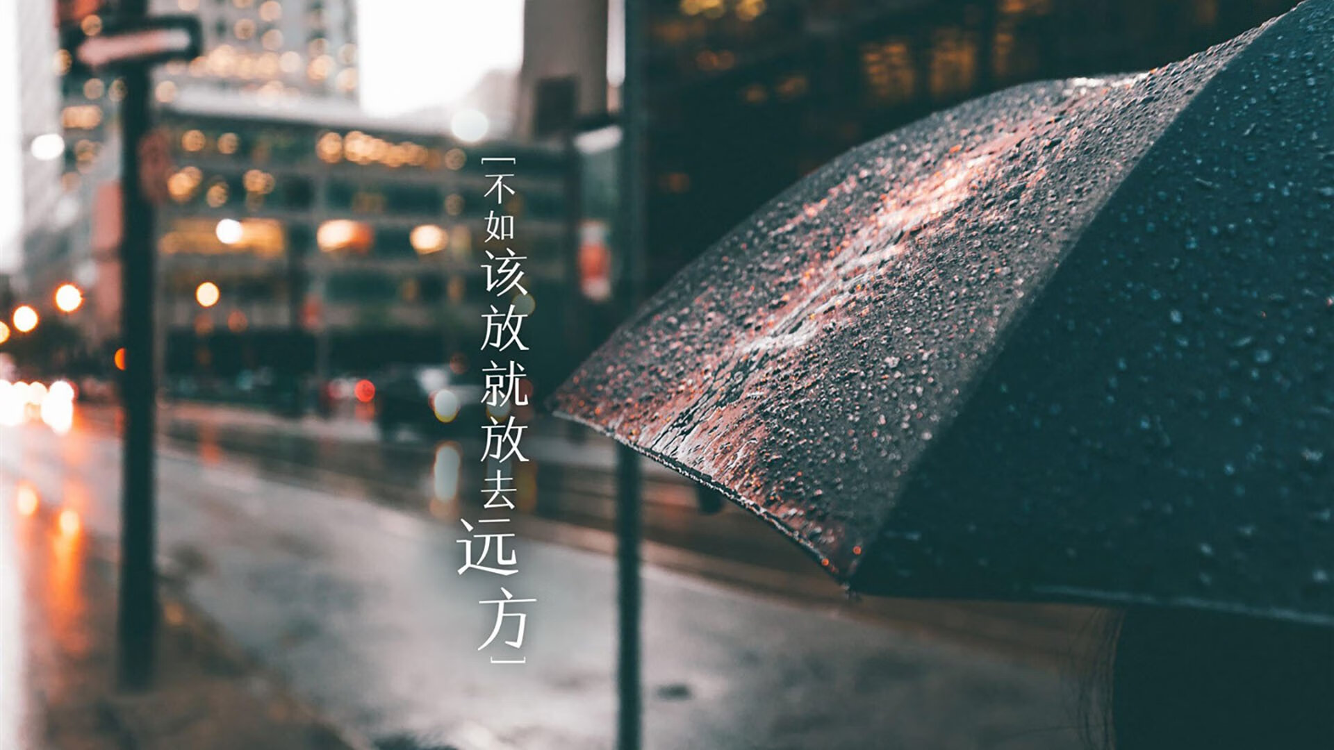 开云体育中国-2026，秩序与混沌之间的那根弦，福登如何用欧洲的节拍器，为亚洲的狂想曲定调