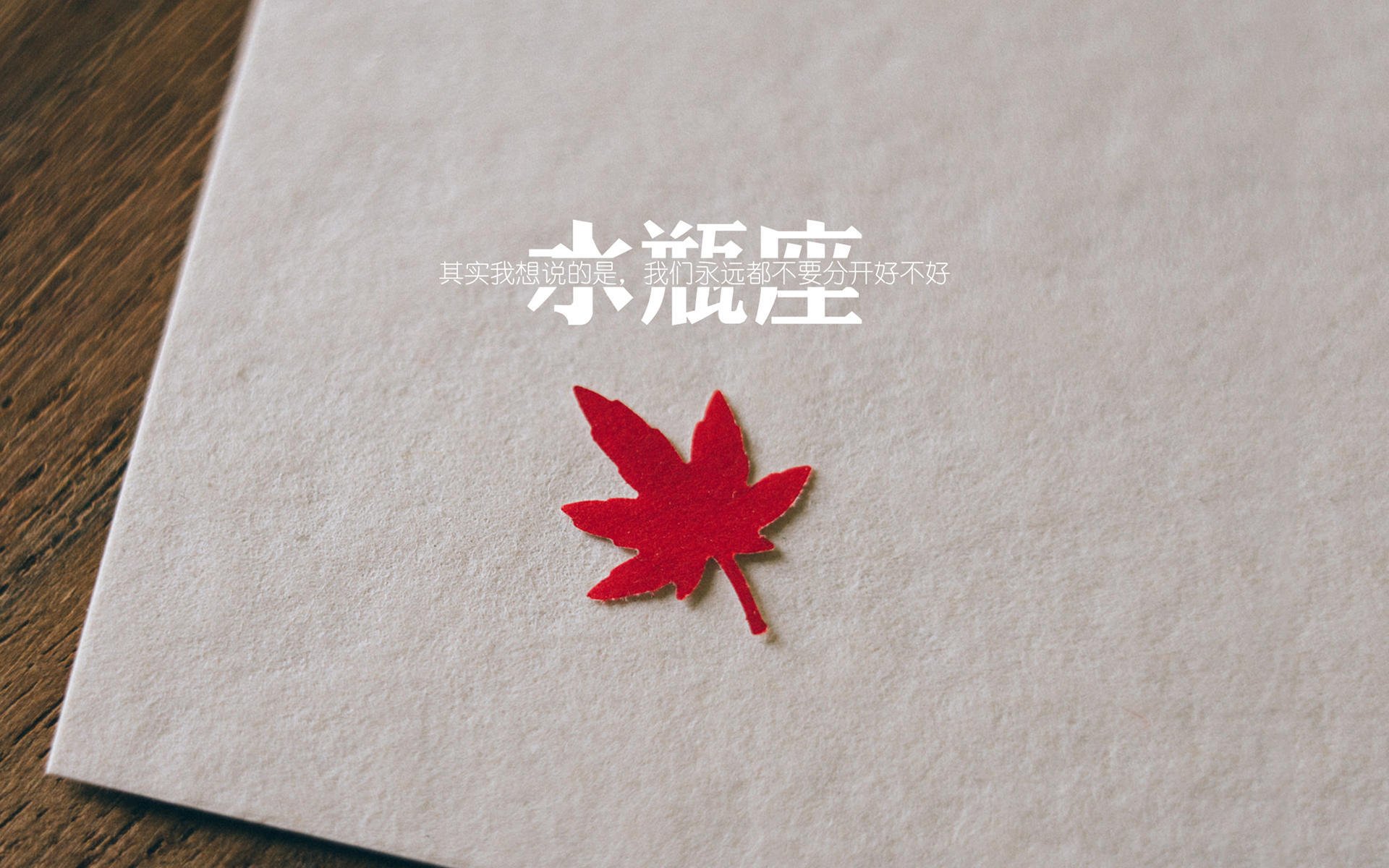 颠覆的唯一性,当突尼斯的铁骑踏碎黄金一代,加维在废墟上定义何为唯一
