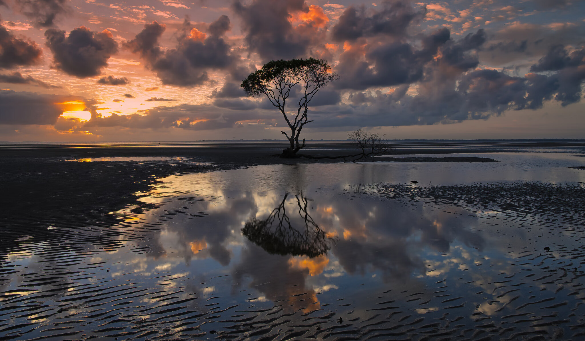 太极虎的咆哮，当理性足球击碎艺术足球，格列兹曼的独角戏悲歌