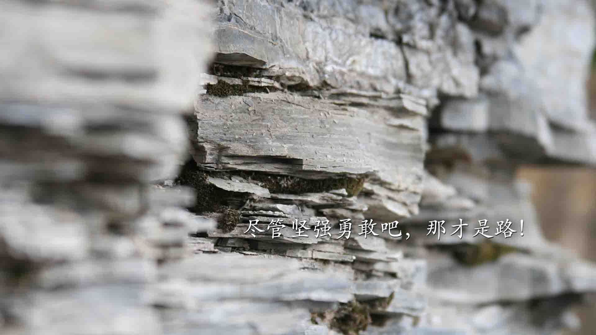 第87分钟的独行侠，当萨内用一次非德式突破，改写了蓝衣军团的命运与足球的叙事