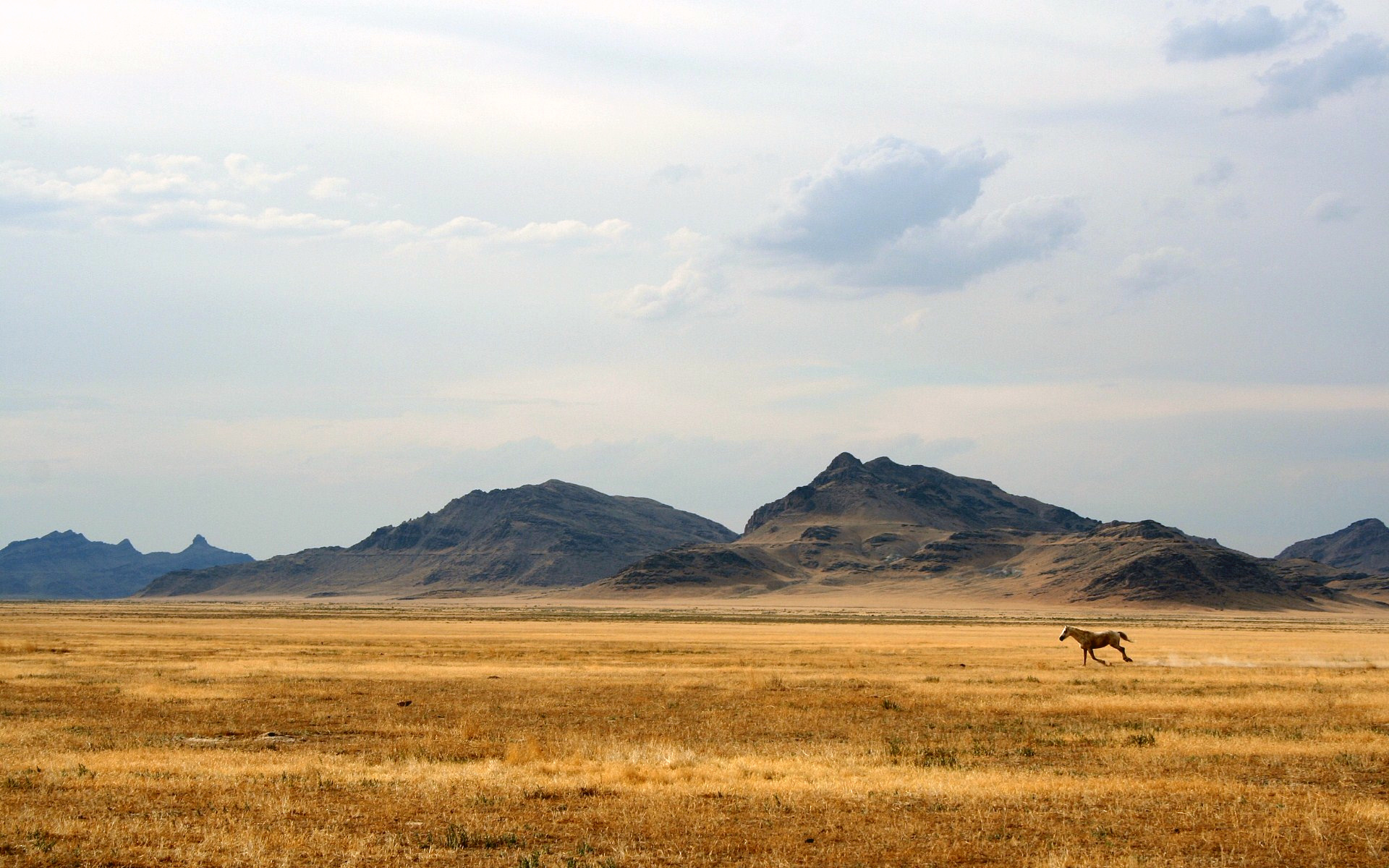 摩洛哥完胜乌拉圭,苏亚雷斯带队取胜—2026世界杯淘汰赛关键战的双重叙事